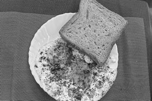 Egg Half Fry