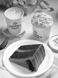 THE BIG TREAT- CHOC/CHOC CAKE SLC
