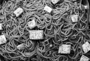 Paneer noodles