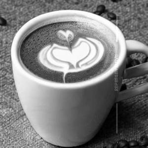 Mocha