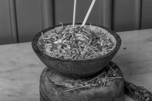 Hakka Noodles