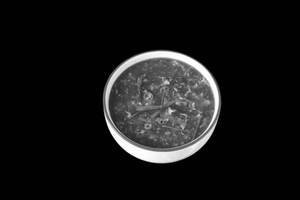 Chicken Garlic Soup [400 ml]