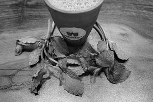 Pudina chai