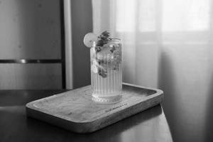 Classic Mojito