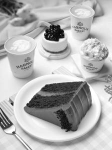 THE SHARING PLATE- CHOC/CHOC CAKE SLC