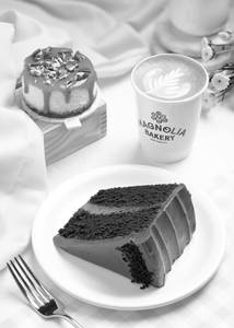 THE CHEESE & COFFEE- CHOC/CHOC CAKE SLC