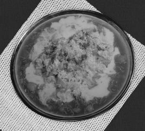Dhai Samosa Chole Chaat