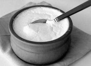 Plain Dahi