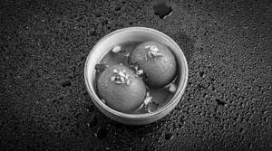 Gulab Jamun(2 Pc)