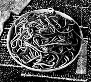 Schezwan Chicken Noodles