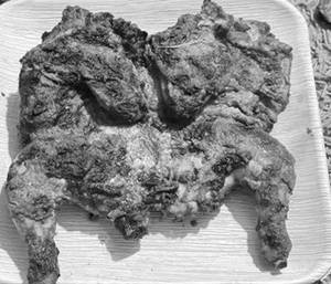 Green Pepper Bbq
