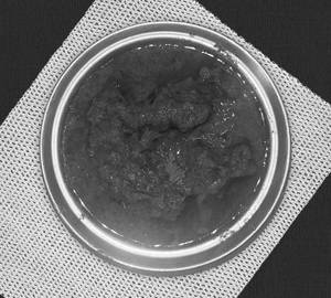 Chicken green masala