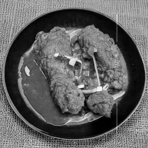 Chicken in Blanket