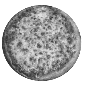 Margherita