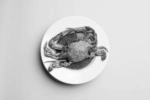 Crab Iguru