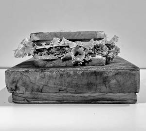Spicy Mushroom Cheese Sandwich