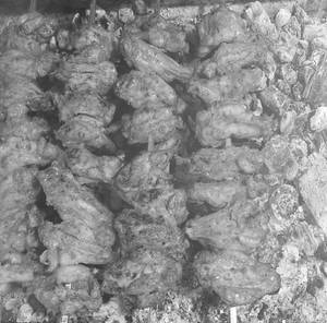 Chicken chatpata Wings [8 pieces]