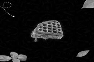 Coffee Mocha Waffle