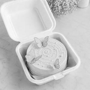 Butterscotch Butterfly Bento Cake
