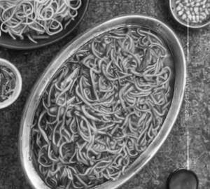 Singapuri Noodle