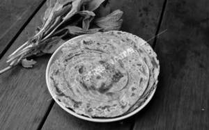 Pudina Paratha