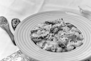 Food Scouts Mac and Cheese Chicken Pasta