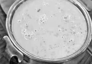 Payasam Paladapradaman 300 ML