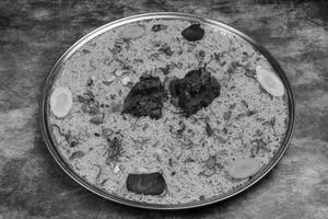 Fish Mandi