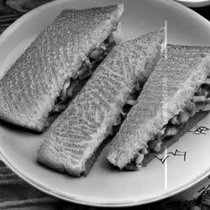 Hot N Spicy Special Sandwich