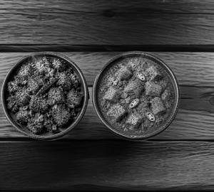 Pork Dry Fry & Pork Curry Combo – Half-Half Special