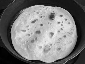 Plain rotti