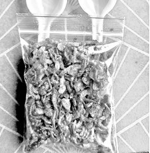 Fried Onion Pouch