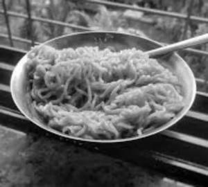 Maggi