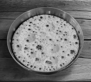 Plain Kulcha