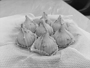 KHOYA MODAK (pc)