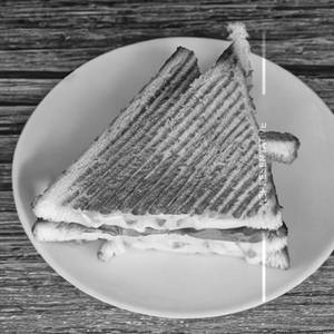 Cheese Sandwich