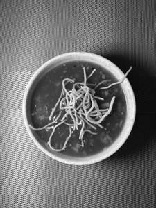 Veg Manchow Soup
