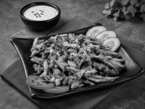 Special Shawarma Plate