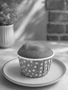 Blueberry Muffin