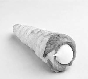 Vanilla Roll