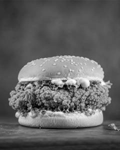 Fried Chicken Burger