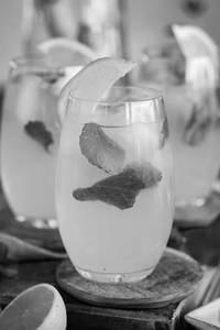 Lime Mint Ginger Soda