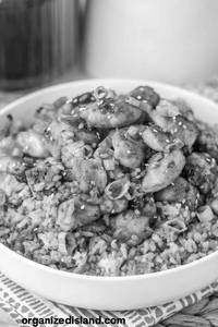 Barbeque fried rice