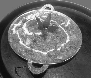 Paneer Tawa (pure Milk Paneer)