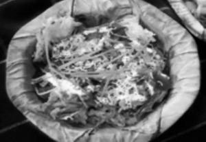 Lachha Chaat