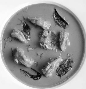 Prawns Curry (Regular)