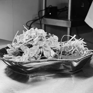 NEW AYGE LOTUS STEM BHEL