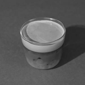 Iced Latte