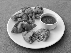 Golden Crunch Veg Wontons