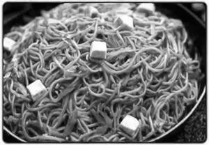 Paneer Noodles